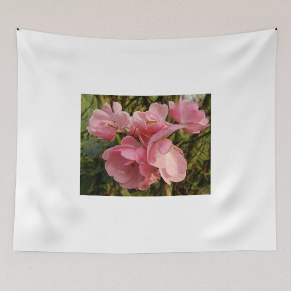 Item preview, Beauty Behold from Chendque, China designed and sold by sandysartstudio.