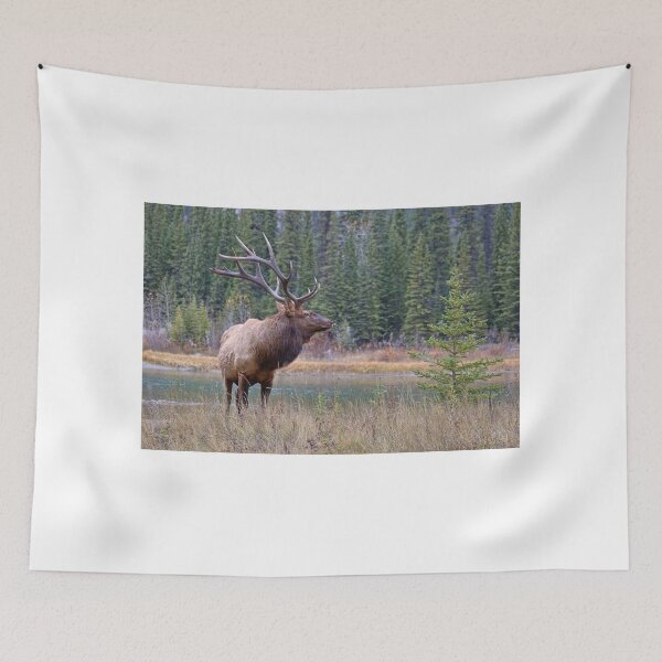 Item preview, Nice Bull along the Bow designed and sold by James (820Photography) Anderson.