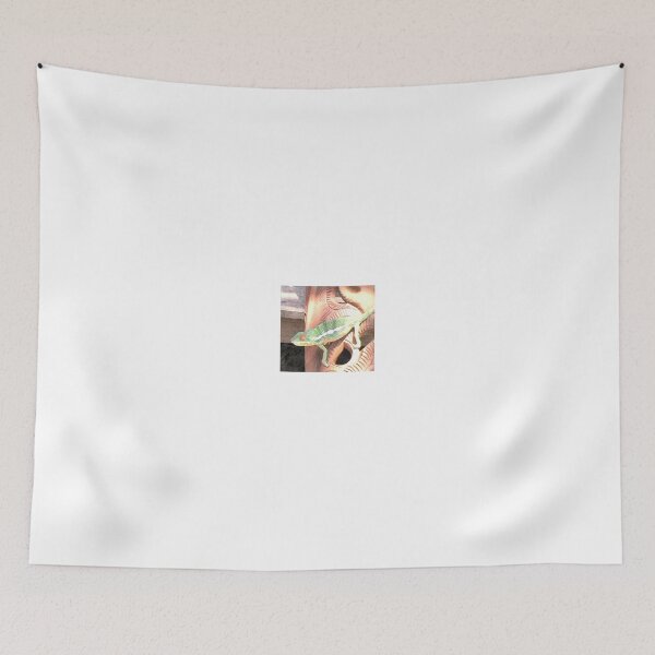 Item preview, CAMELEON/CHAMELEON ON A POTTERY BOWL NOSY BE designed and sold by JAYMILO.
