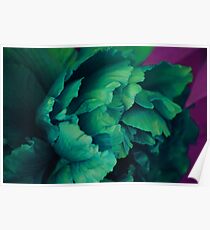 Green Peony Poster