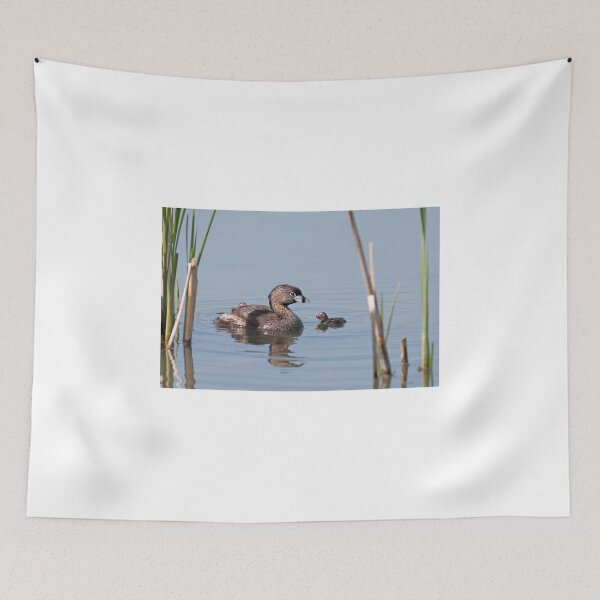 Item preview, Pied-billed Grebe designed and sold by James Cumming.