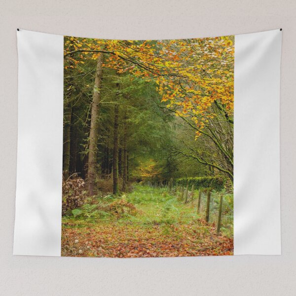 Item preview, Autumn in Whinfell Forest designed and sold by jaks.