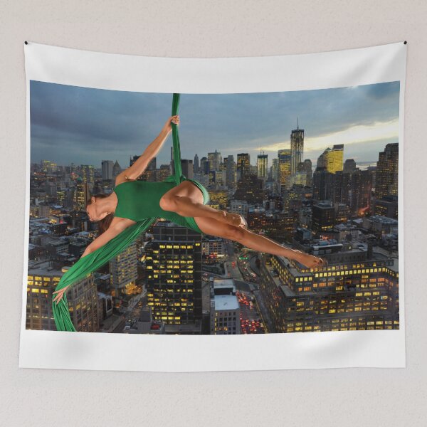 Aperçu de l'œuvre Acrobatie sur New York créée et vendue par Carnisch.