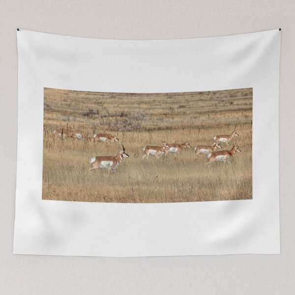 Item preview, Prairie Pronghorn designed and sold by James (820Photography) Anderson.