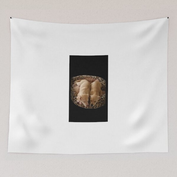 Item preview, "Sister's" Honey and Jemma Sleeping together! designed and sold by Princess1222.