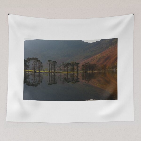 Item preview, Buttermere Pines designed and sold by Nick Atkin.
