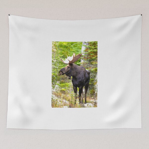 Item preview, Forest Dweller designed and sold by purelightimages.