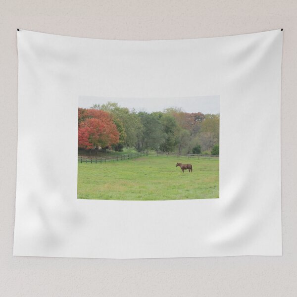 Item preview, Horse in the Pasture During Autumn designed and sold by adriturner.