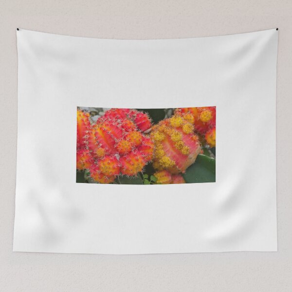 Item preview, Orange & Yellow Moon Cactus designed and sold by phil decocco.