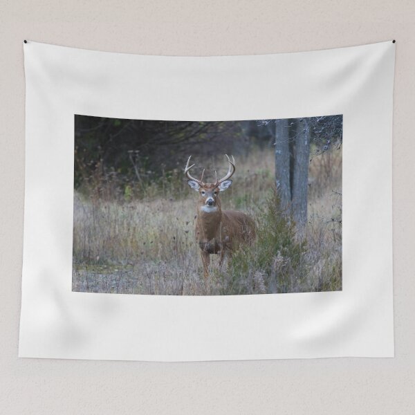 Item preview, White-tailed buck designed and sold by James Cumming.