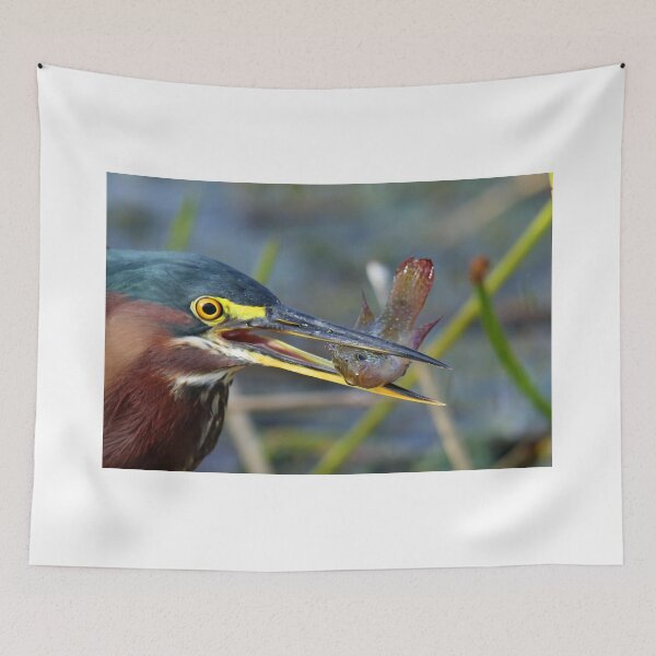 Item preview, Weekend Catch!! designed and sold by Anthony Goldman.