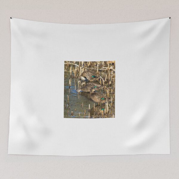 Item preview, Ducks at rest designed and sold by Rick Playle.