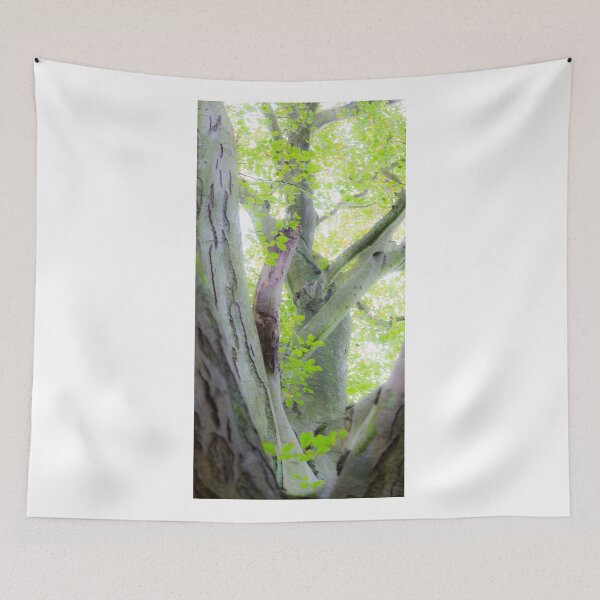 Item preview, Trees designed and sold by GinnyScholes.