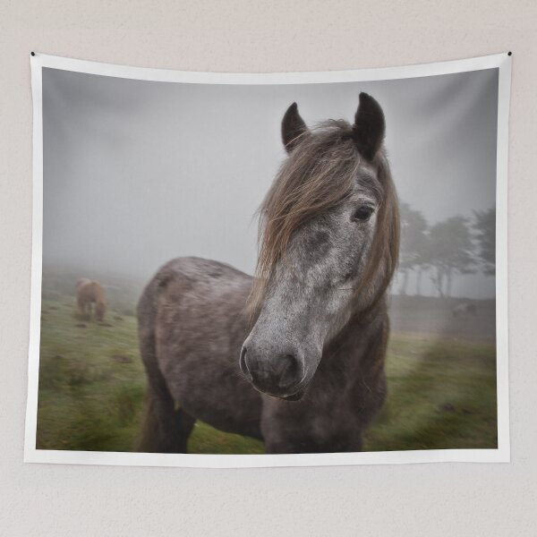 Item preview, Grey Lady designed and sold by Quattrophoto.