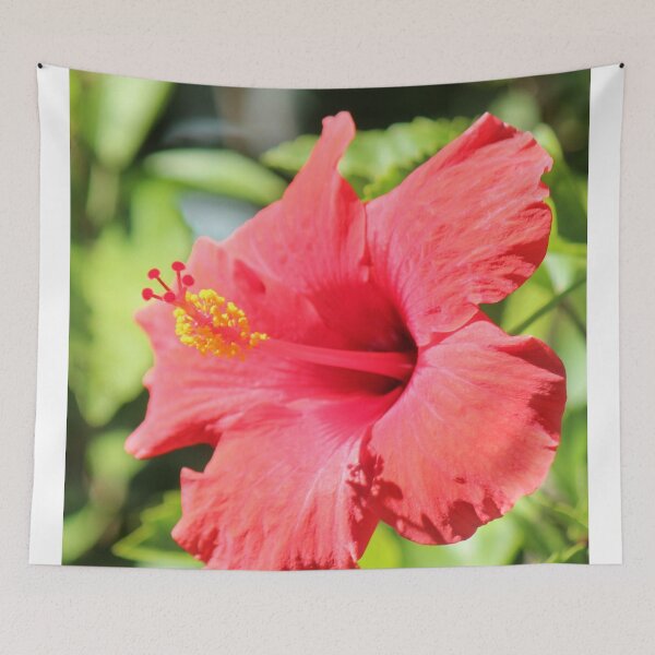 Item preview, Hibiscus of Leesburg designed and sold by Bob Hardy.