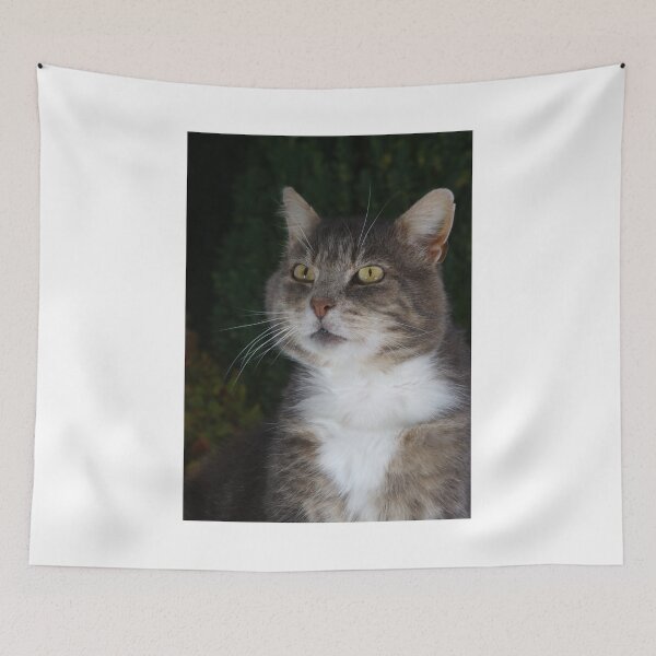 Item preview, Scary cat designed and sold by turniptowers.