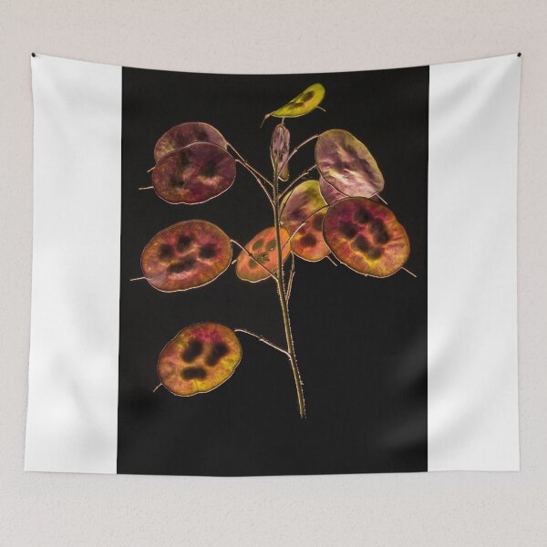 Item preview, Honesty Seeds designed and sold by jaks.