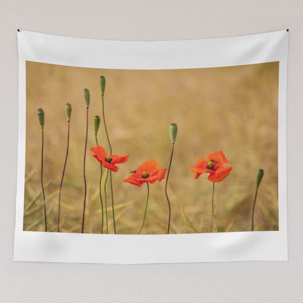 Item preview, Wild Red Poppies designed and sold by jaks.