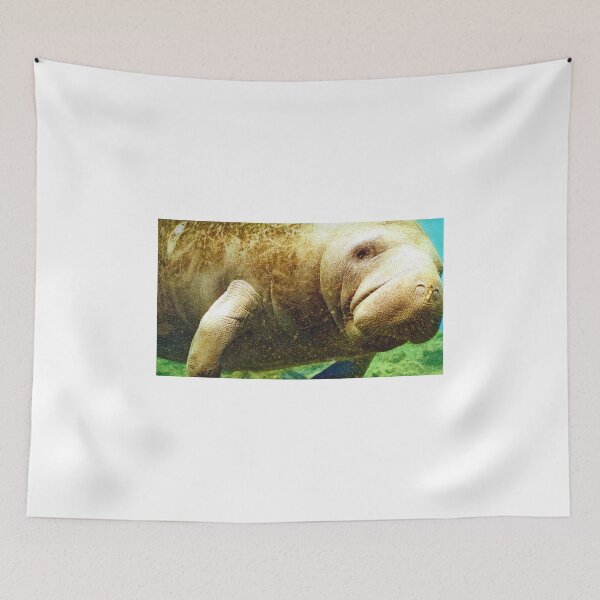 Item preview, Here's Looking At You! designed and sold by phil decocco.