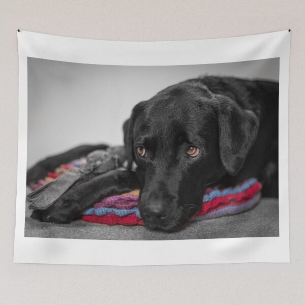 Item preview, Adorable Labrador designed and sold by JFPhotography.
