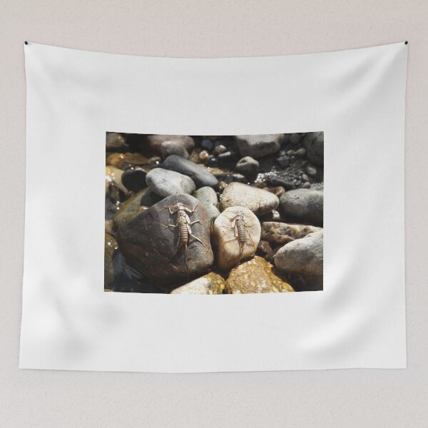 Item preview, Pair designed and sold by Kathryn Shaw - Wildflies.