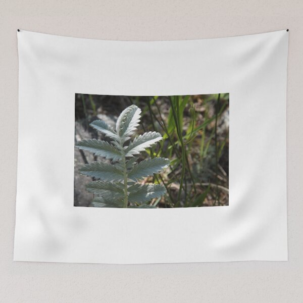 Item preview, Fern designed and sold by Kathryn Shaw - Wildflies.
