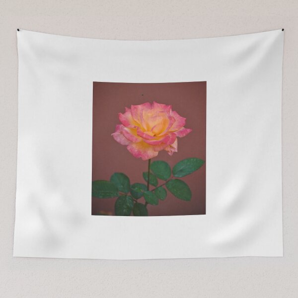 Item preview, LONG STEMMED PEACE ROSE SILHOUETTED AGAINST TERRA COTTA WALL designed and sold by JAYMILO.