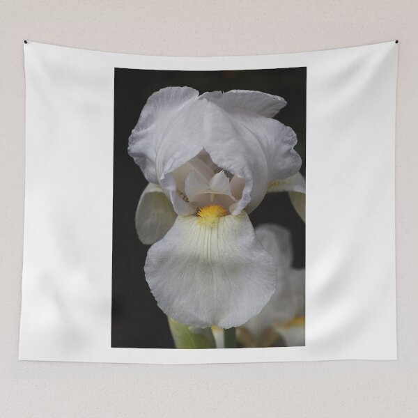 Item preview, White Iris Delight designed and sold by Joy Watson - Natural Light Photography .
