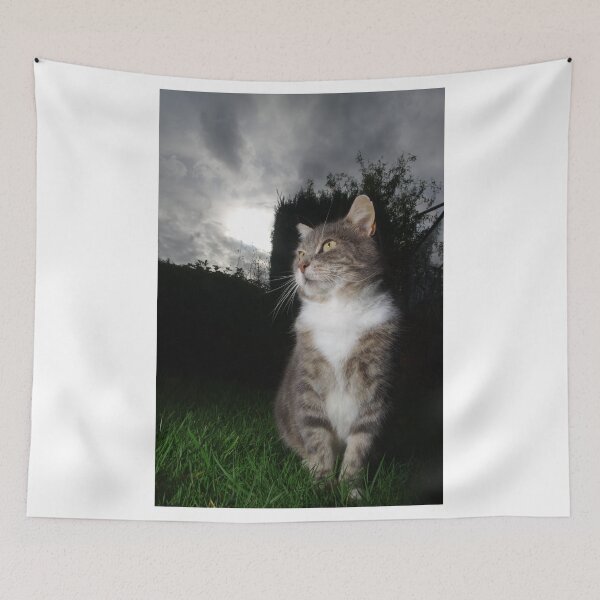 Item preview, Tabby cat in garden at sunset designed and sold by turniptowers.