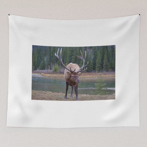 Item preview, got my eye on you... designed and sold by James (820Photography) Anderson.