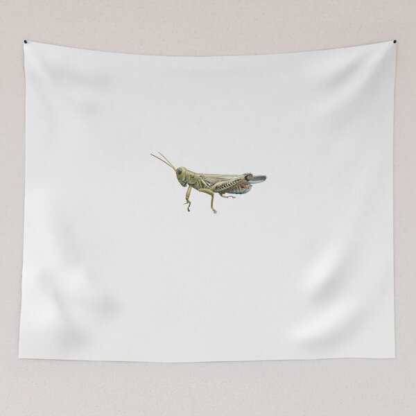 Item preview, Grasshopper designed and sold by digerati.