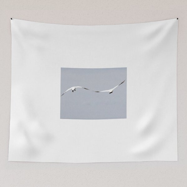 Aperçu de l'œuvre Trumpeter Swans wing tip to wing tip créée et vendue par WayneSheridan.