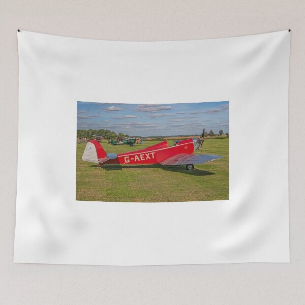 Item preview, Dart Kitten II G-AEXT designed and sold by Colin Smedley.