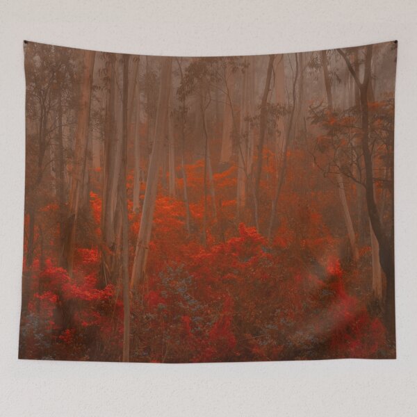 Item preview, Experiments in Processing # 1 - Mount Wilson NSW - The HDR Experience designed and sold by Salieri1627.