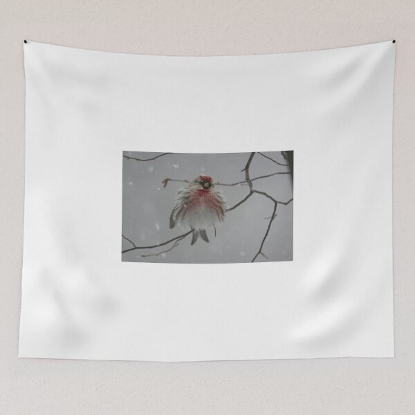 Item preview, I'm so cold... designed and sold by AgapeMn.