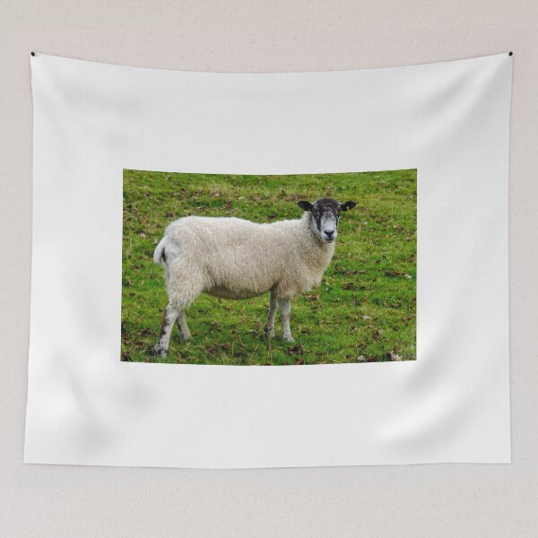 Item preview, I.m Watching Ewe..........  designed and sold by lynn carter.
