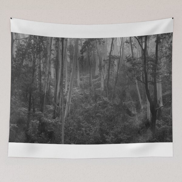 Item preview, Experiments in Processing # 5 - Mount Wilson NSW - The HDR Experience designed and sold by Salieri1627.