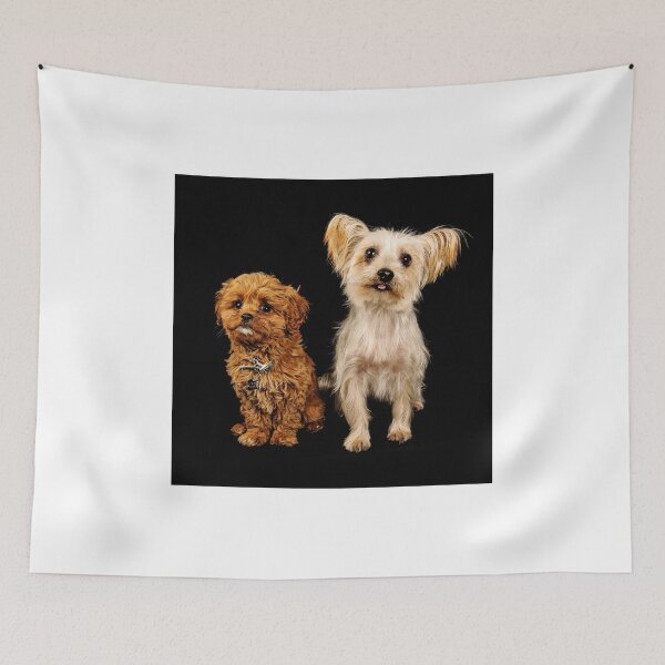 Item preview, Remi and Darby designed and sold by Colin White.