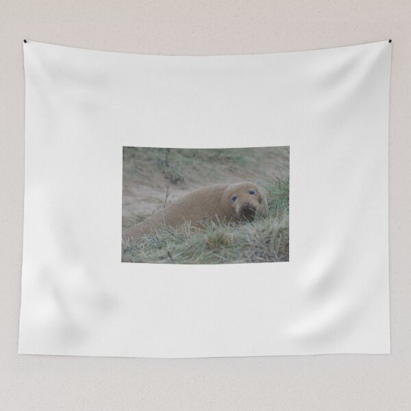 Item preview, Sandy grey seal designed and sold by WizardPhotos.