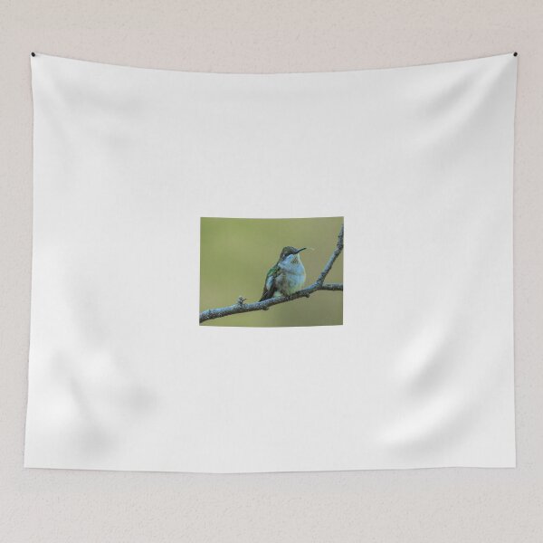 Item preview, Ruby-Throated Hummingbird With Tongue Out - 10 designed and sold by AgapeMn.