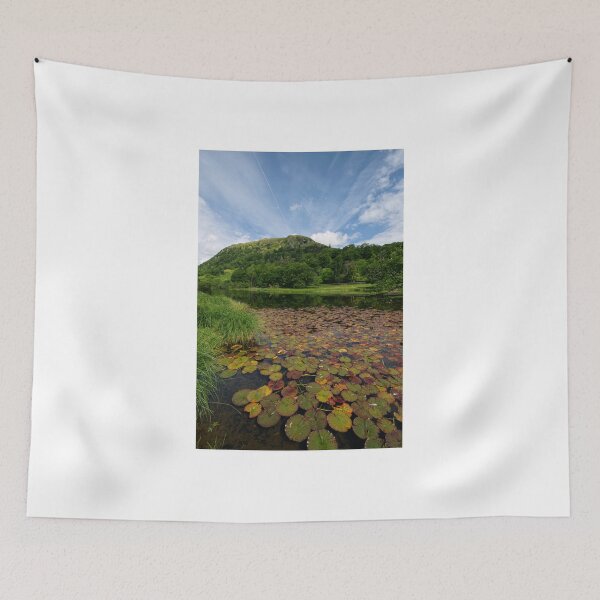 Item preview, Rydal Water designed and sold by StephenJSmith.