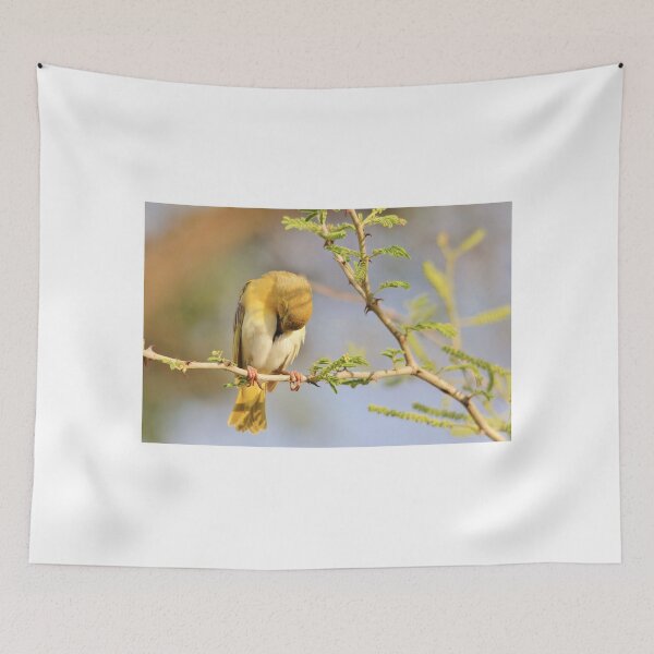 Item preview, Yellow Masked Weaver - Taking a Rest designed and sold by LivingWild.