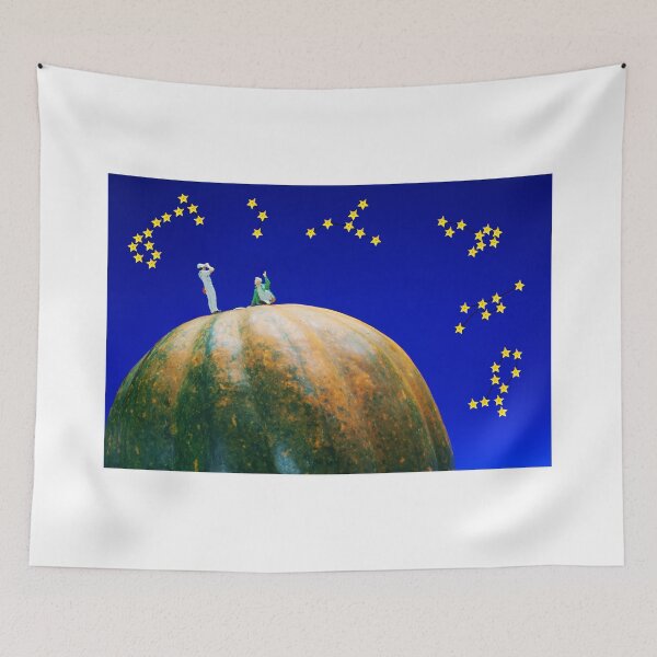 Item preview, Star Watching On Pumpkin designed and sold by Paul Ge.