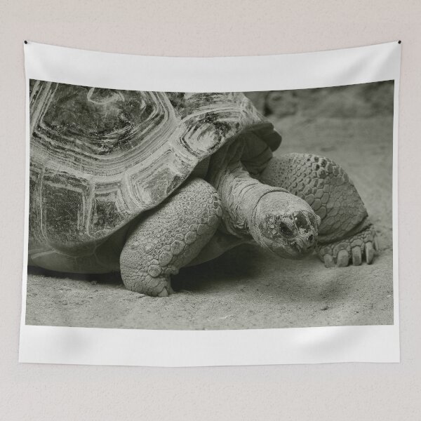 Item preview, Giant Tortoise  designed and sold by hawkie.
