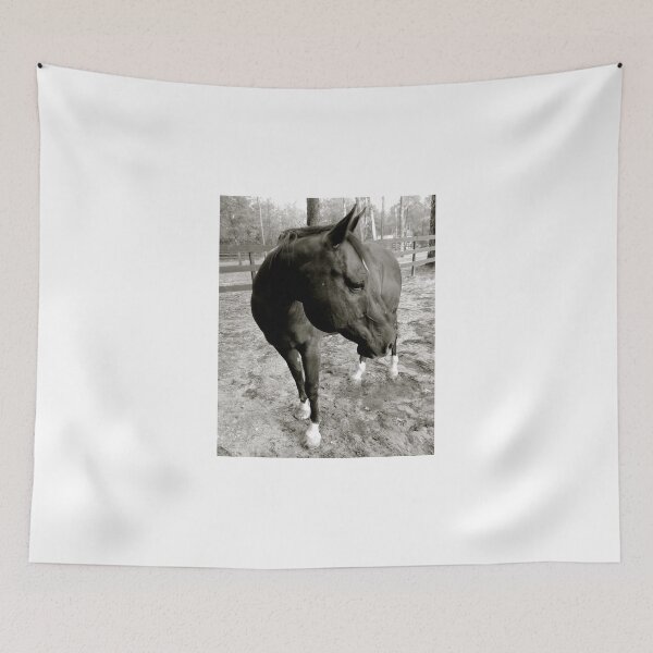 Item preview, Simplicity 2 B&W designed and sold by malipsey.
