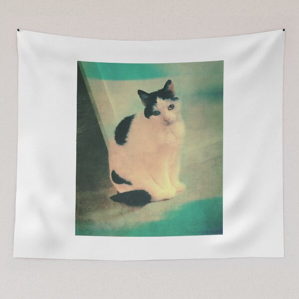 Item preview, Nice Kitty designed and sold by andymars.
