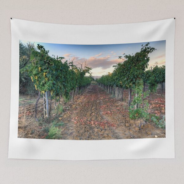Item preview, Vineyard in Tuscany designed and sold by SpikeFlutie.