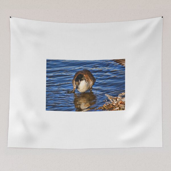 Item preview, A Reflection of Itsself designed and sold by JoeBledsoe.