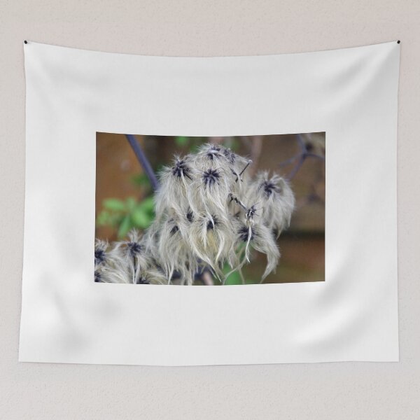 Item preview, Hairy Seeds............. designed and sold by lynn carter.