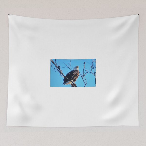 Item preview, BALD EAGLE ON POST AT THE LIVING DESERT, PALM DESERT, CALIFORNIA designed and sold by JAYMILO.